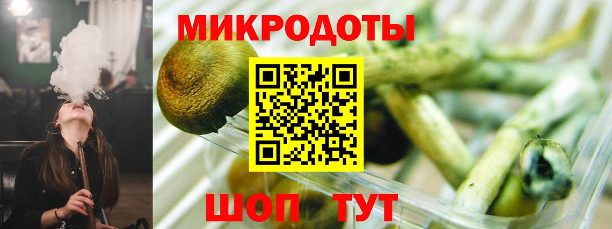 Псилоцибиновые грибы Psilocybine cubensis  Вход с VPN  Топки 