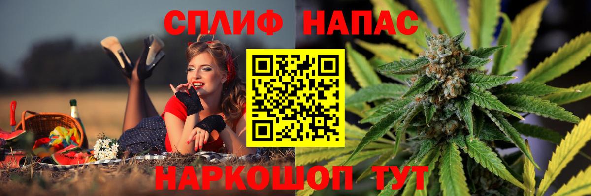 Канабис семена Топки